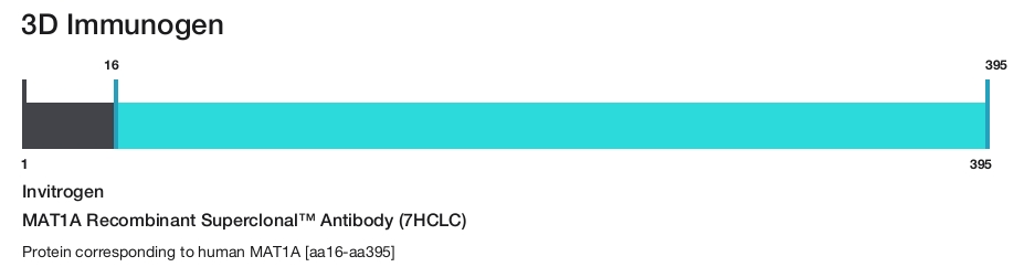 MAT1A Recombinant Superclonal&trade; Antibody (7HCLC)