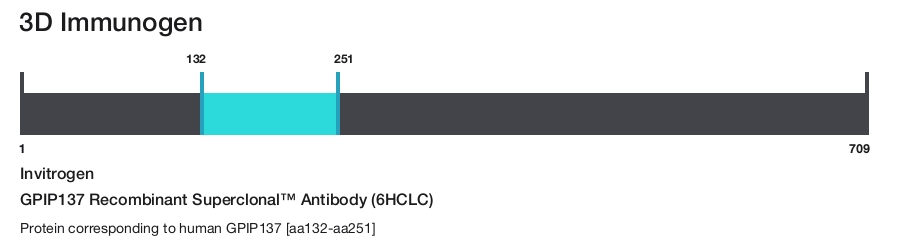 GPIP137 Recombinant Superclonal&trade; Antibody (6HCLC)