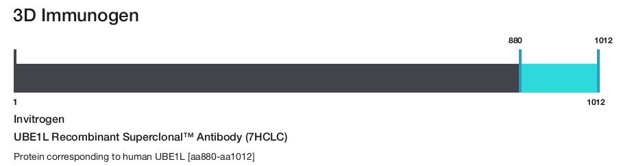 UBE1L Recombinant Superclonal&trade; Antibody (7HCLC)