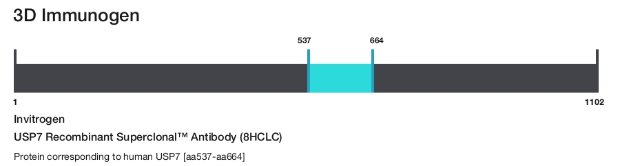 USP7 Recombinant Superclonal&trade; Antibody (8HCLC)