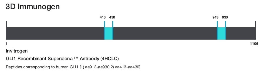 GLI1 Recombinant Superclonal&trade; Antibody (4HCLC)