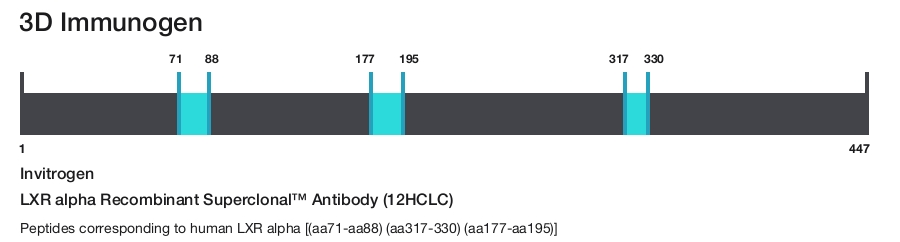 LXR alpha Recombinant Superclonal&trade; Antibody (12HCLC)