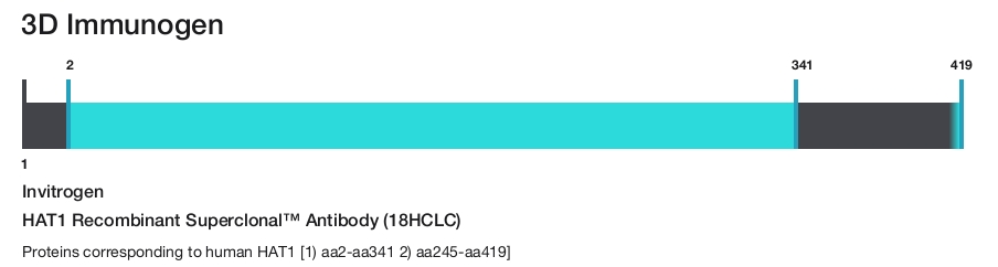 HAT1 Recombinant Superclonal&trade; Antibody (18HCLC)