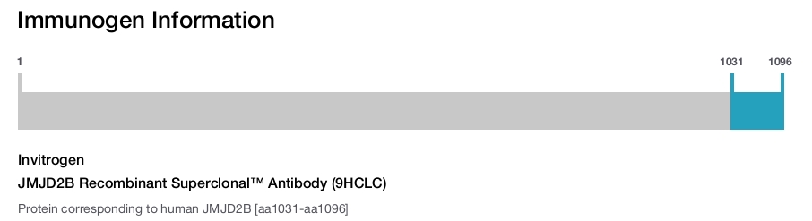 JMJD2B Recombinant Superclonal™ Antibody (9HCLC)