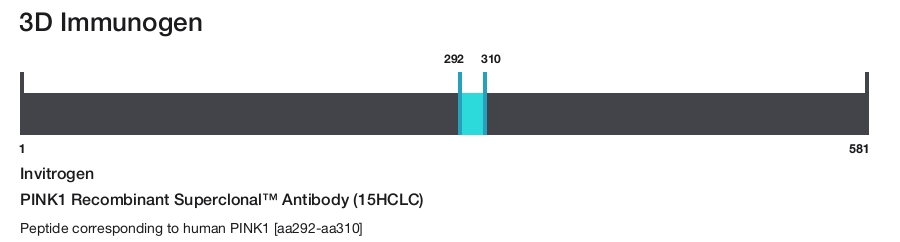 PINK1 Recombinant Superclonal&trade; Antibody (15HCLC)