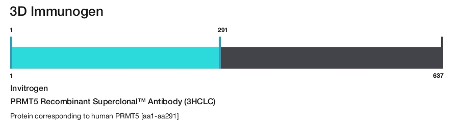 PRMT5 Recombinant Superclonal&trade; Antibody (3HCLC)