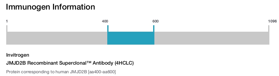 JMJD2B Recombinant Superclonal™ Antibody (4HCLC)