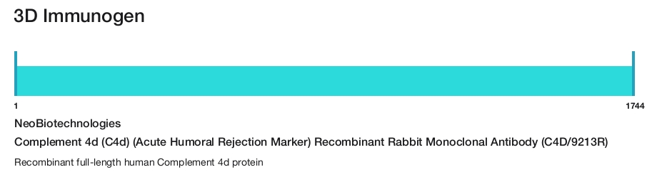 Complement 4d (C4d) (Acute Humoral Rejection Marker) Recombinant Rabbit Monoclonal Antibody (C4D/9213R)