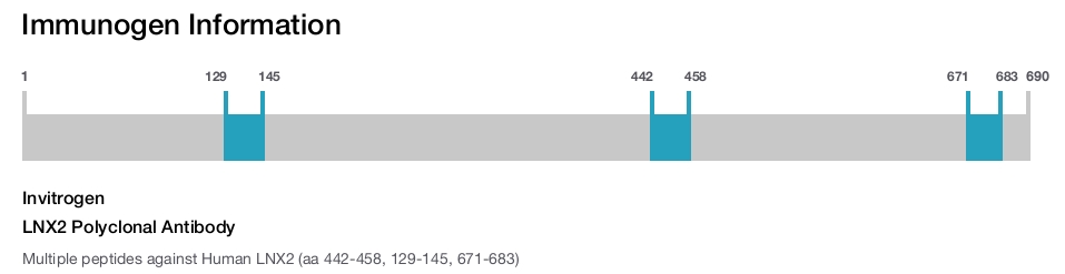 LNX2 Polyclonal Antibody
