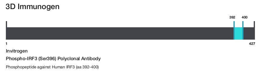 Phospho-IRF3 (Ser396) Polyclonal Antibody