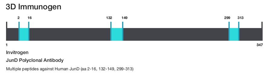 JunD Polyclonal Antibody