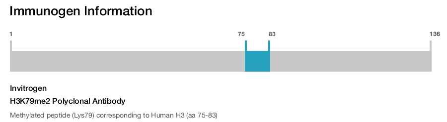 H3K79me2 Polyclonal Antibody