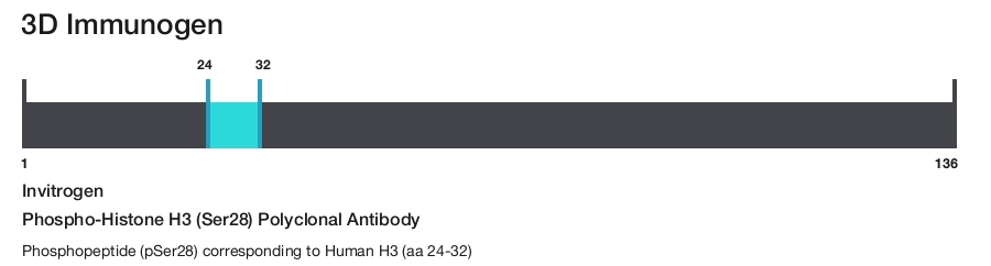 Phospho-Histone H3 (Ser28) Polyclonal Antibody