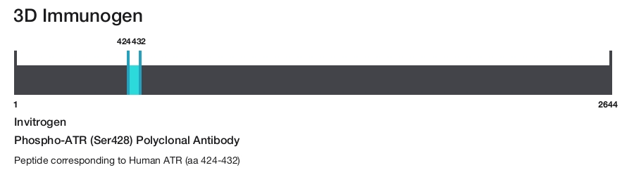 Phospho-ATR (Ser428) Polyclonal Antibody
