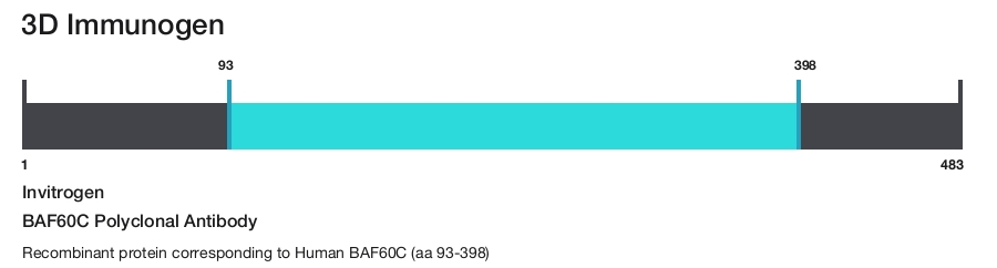 BAF60C Polyclonal Antibody