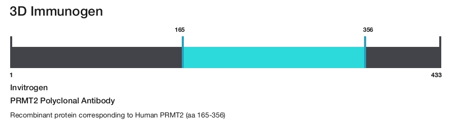 PRMT2 Polyclonal Antibody