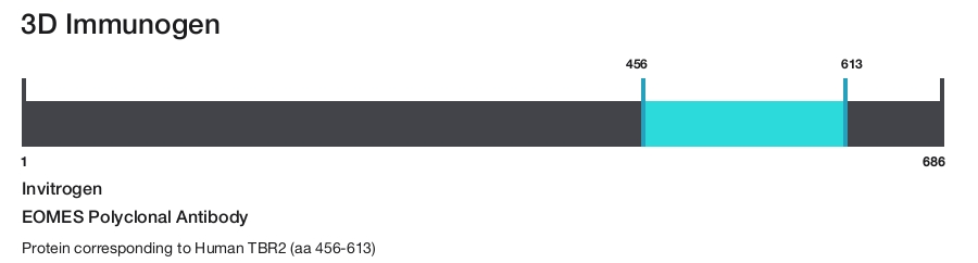 EOMES Polyclonal Antibody