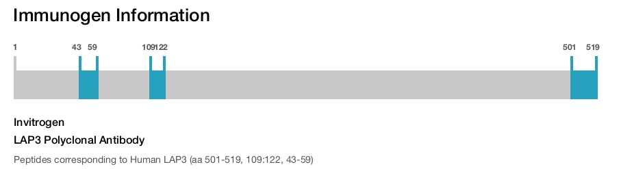LAP3 Polyclonal Antibody