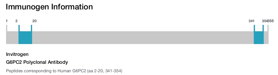 G6PC2 Polyclonal Antibody