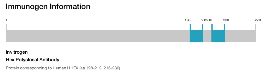Hex Polyclonal Antibody