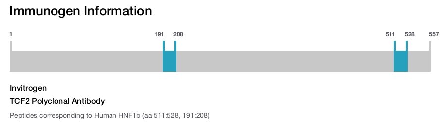 TCF2 Polyclonal Antibody