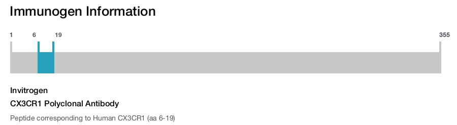 CX3CR1 Polyclonal Antibody