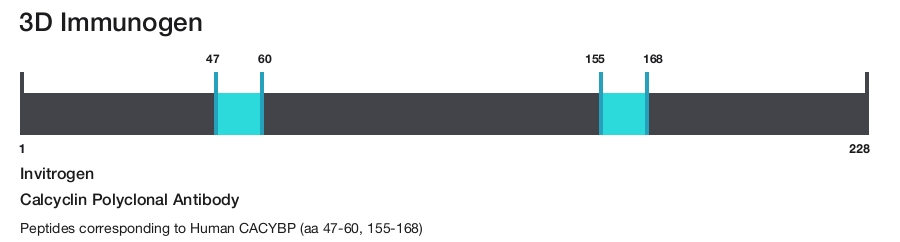 Calcyclin Polyclonal Antibody