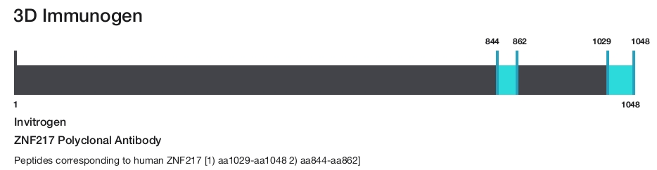 ZNF217 Polyclonal Antibody