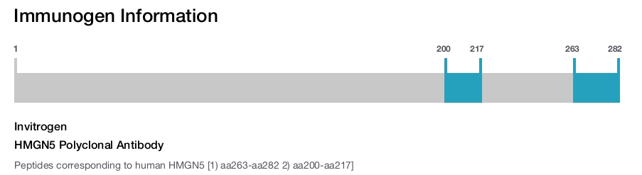 HMGN5 Polyclonal Antibody