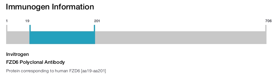 FZD6 Polyclonal Antibody