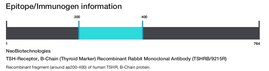 TSH-Receptor, B-Chain (Thyroid Marker) Recombinant Rabbit Monoclonal Antibody (TSHRB/9215R)