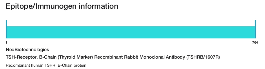 TSH-Receptor, B-Chain (Thyroid Marker) Recombinant Rabbit Monoclonal Antibody (TSHRB/1607R)
