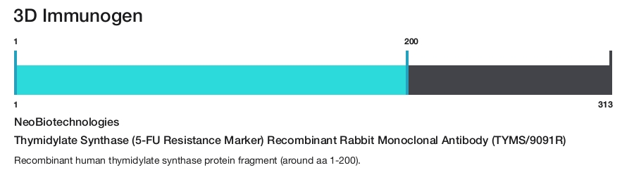 Thymidylate Synthase (5-FU Resistance Marker) Recombinant Rabbit Monoclonal Antibody (TYMS/9091R)