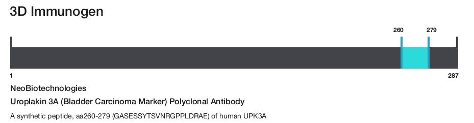 Uroplakin 3A (Bladder Carcinoma Marker) Polyclonal Antibody