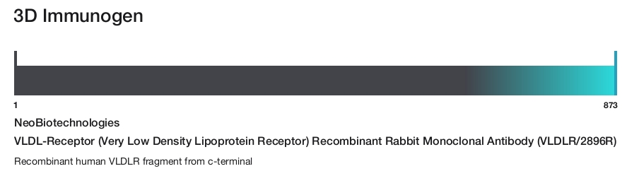 VLDL-Receptor (Very Low Density Lipoprotein Receptor) Recombinant Rabbit Monoclonal Antibody (VLDLR/2896R)