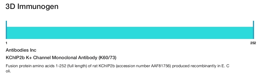 KChIP2b K+ Channel Monoclonal Antibody (K60/73)