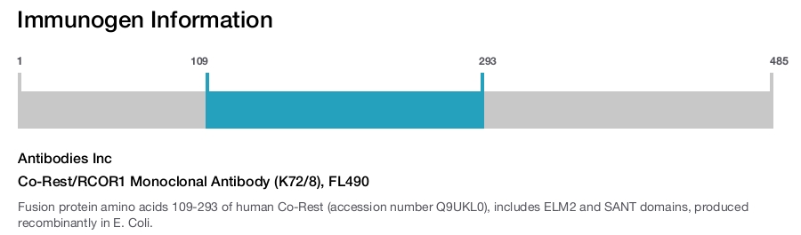 Co-Rest/RCOR1 Monoclonal Antibody (K72/8), FL490
