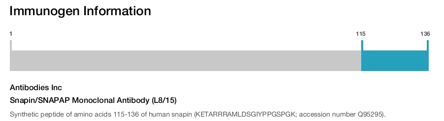 Snapin/SNAPAP Monoclonal Antibody (L8/15)