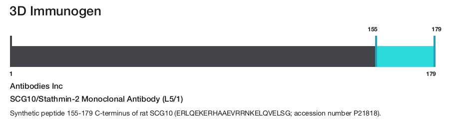 SCG10/Stathmin-2 Monoclonal Antibody (L5/1)