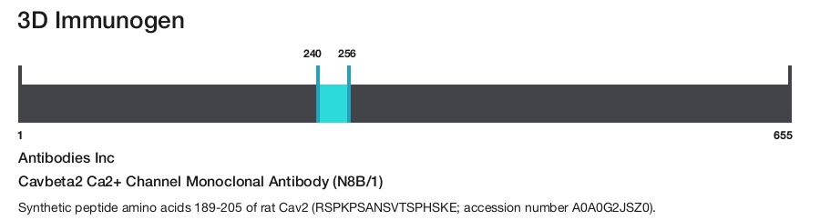 Cavbeta2 Ca2+ Channel Monoclonal Antibody (N8B/1)