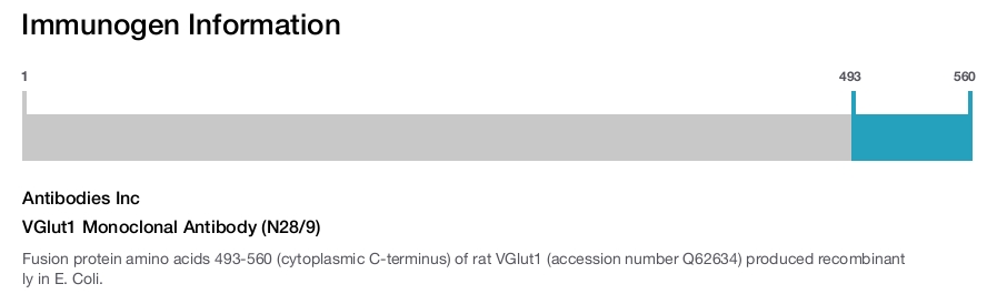 VGlut1 Monoclonal Antibody (N28/9)