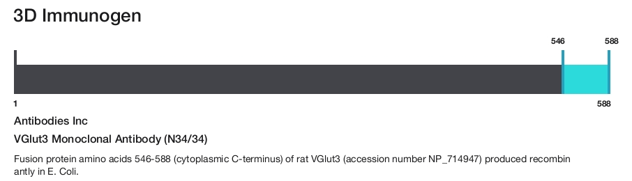 VGlut3 Monoclonal Antibody (N34/34)