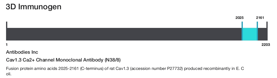 Cav1.3 Ca2+ Channel Monoclonal Antibody (N38/8)
