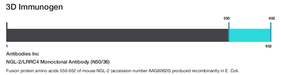 NGL-2/LRRC4 Monoclonal Antibody (N50/36)