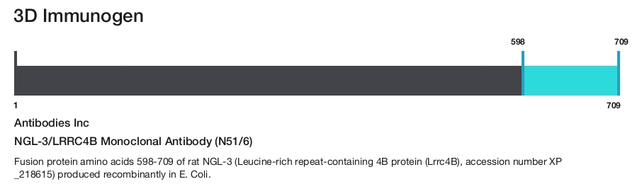 NGL-3/LRRC4B Monoclonal Antibody (N51/6)