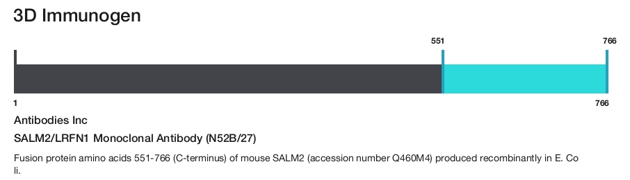 SALM2/LRFN1 Monoclonal Antibody (N52B/27)