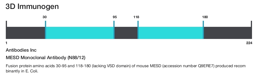MESD Monoclonal Antibody (N88/12)