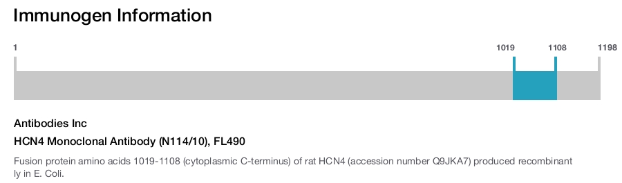 HCN4 Monoclonal Antibody (N114/10), FL490