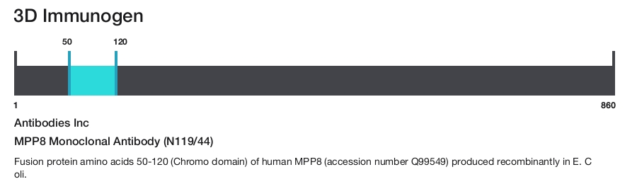MPP8 Monoclonal Antibody (N119/44)