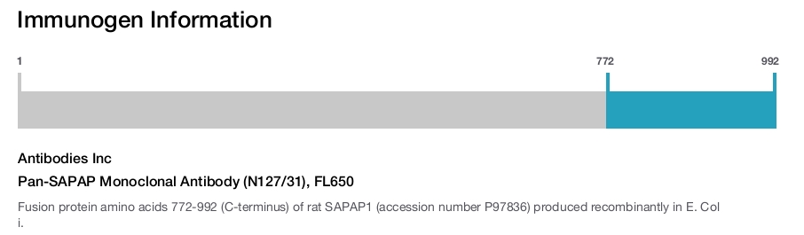 Pan-SAPAP Monoclonal Antibody (N127/31), FL650